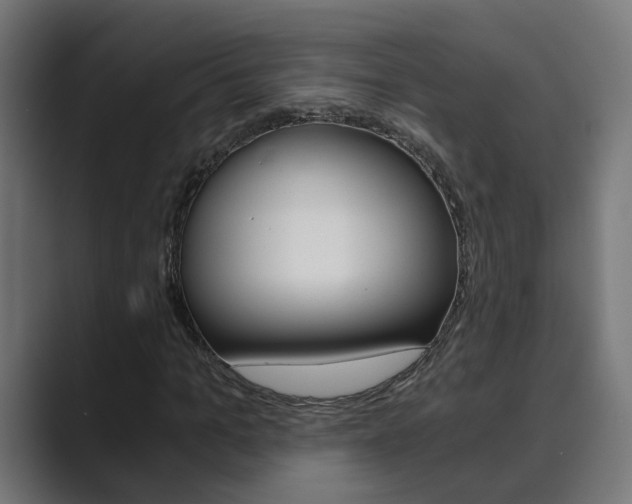X0000089970965200706291101