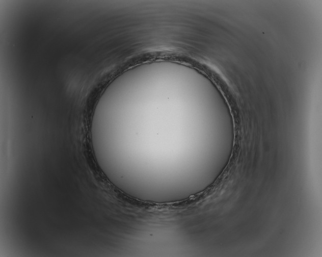X0000089970967200706291101