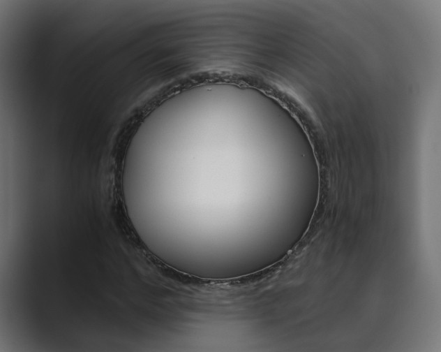 X0000089970968200706291101