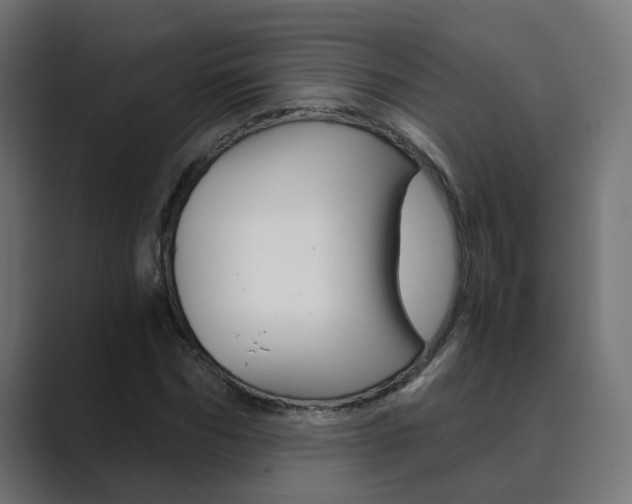 X0000089970970200706291101