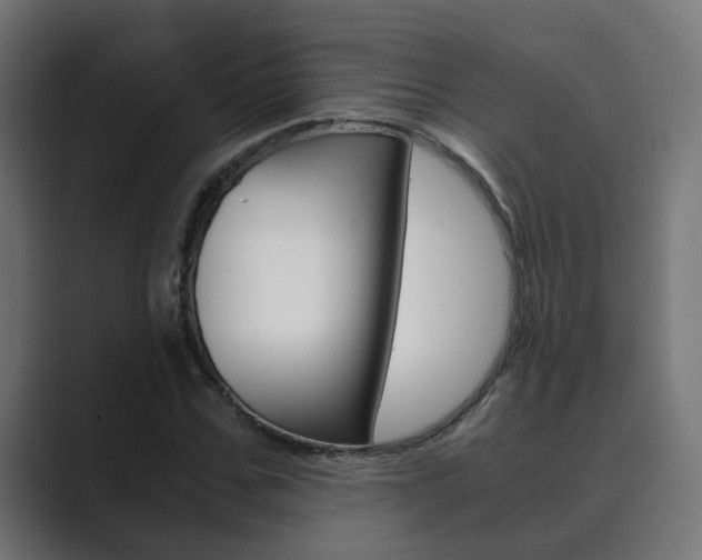 X0000089970971200706291101