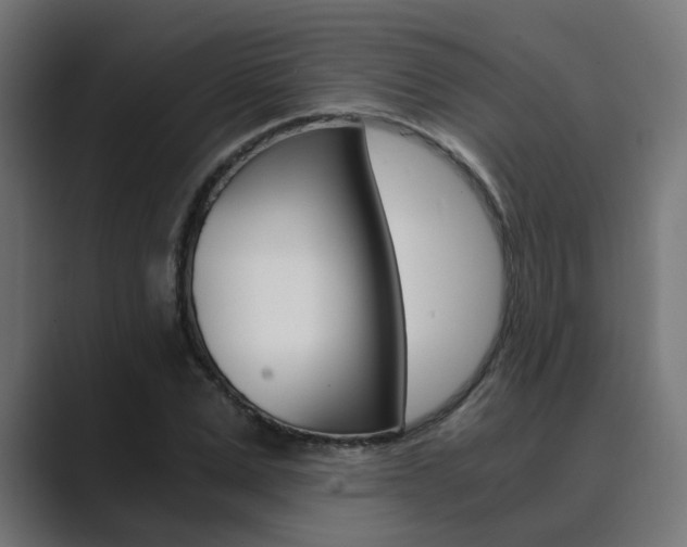 X0000089970975200706291101