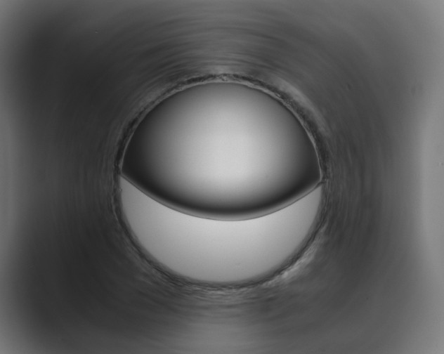 X0000089970977200706291101