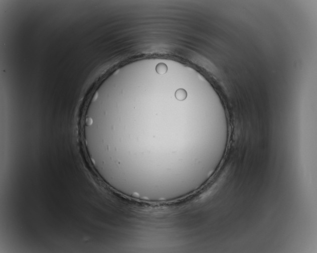 X0000089970978200706291101