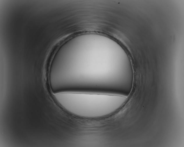 X0000089970979200706291101