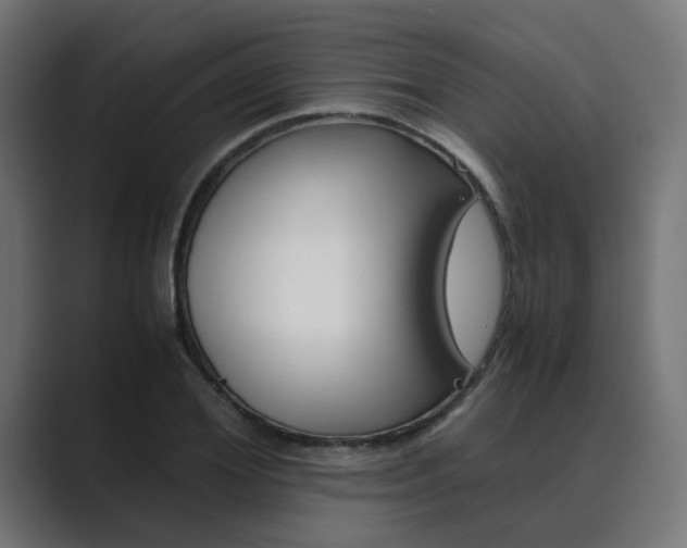 X0000089970980200706291101