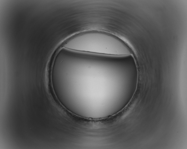 X0000089970983200706291101