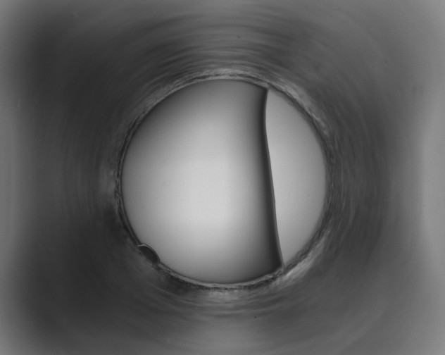 X0000089970985200706291101