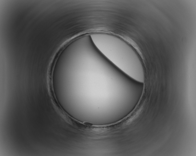 X0000089970989200706291101