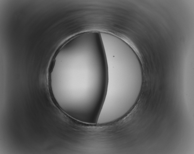 X0000089970996200706291101