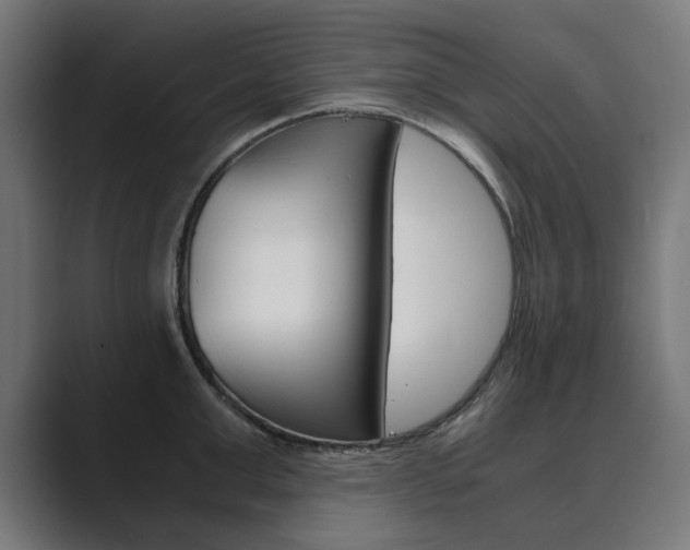 X0000089970999200706291101