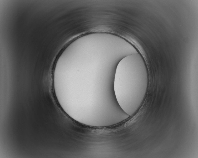 X0000089971000200706291101