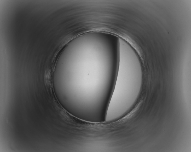 X0000089971001200706291101
