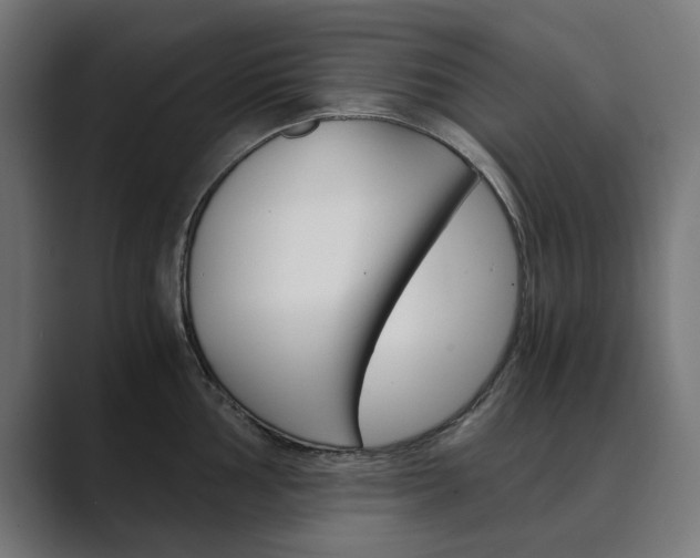 X0000089971002200706291101