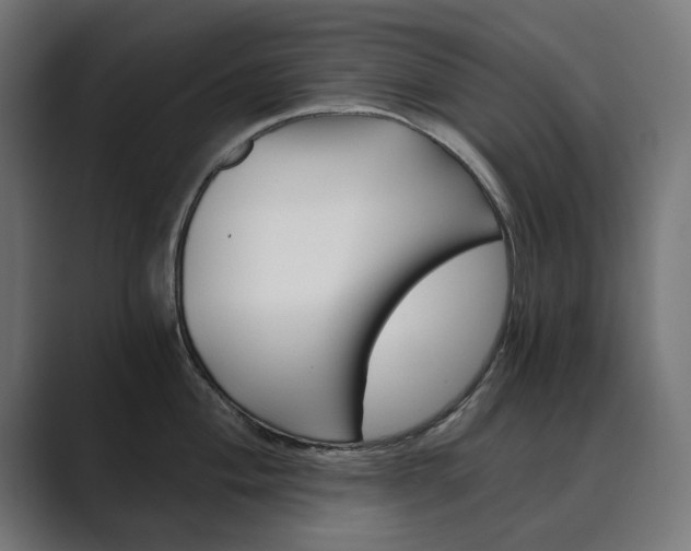 X0000089971004200706291101