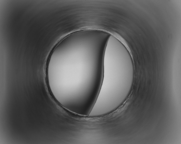 X0000089971005200706291101