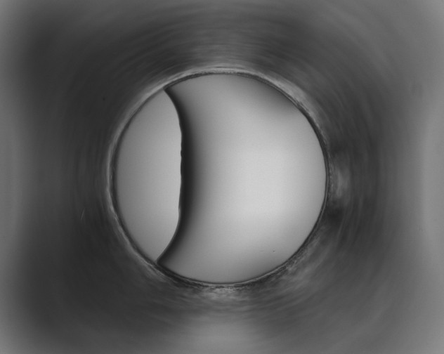 X0000089971006200706291101