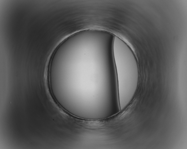 X0000089971007200706291101