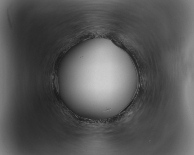 X0000089971010200706291100