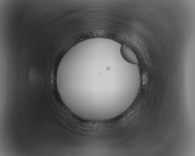 X0000089971011200706291100