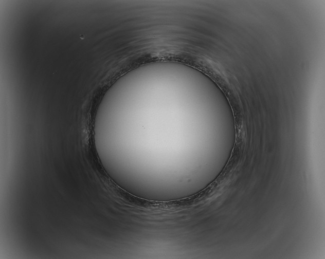 X0000089971012200706291100