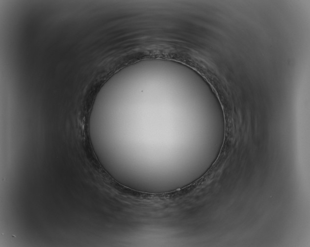 X0000089971013200706291100