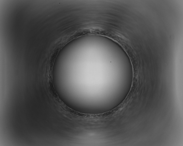 X0000089971014200706291100