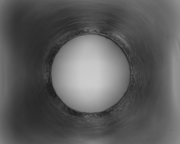 X0000089971015200706291100