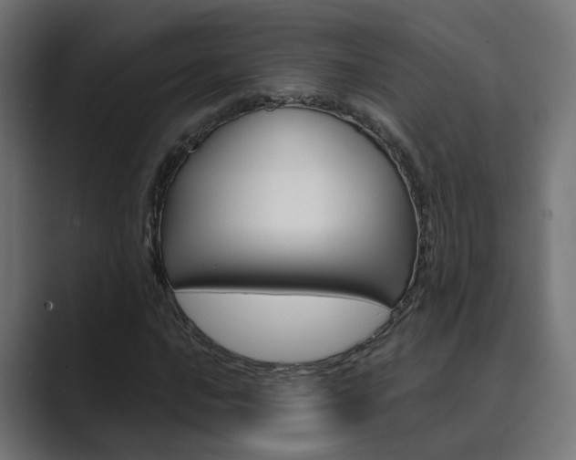 X0000089971016200706291100