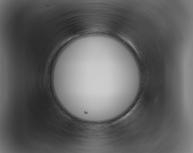 X0000089971018200706291100