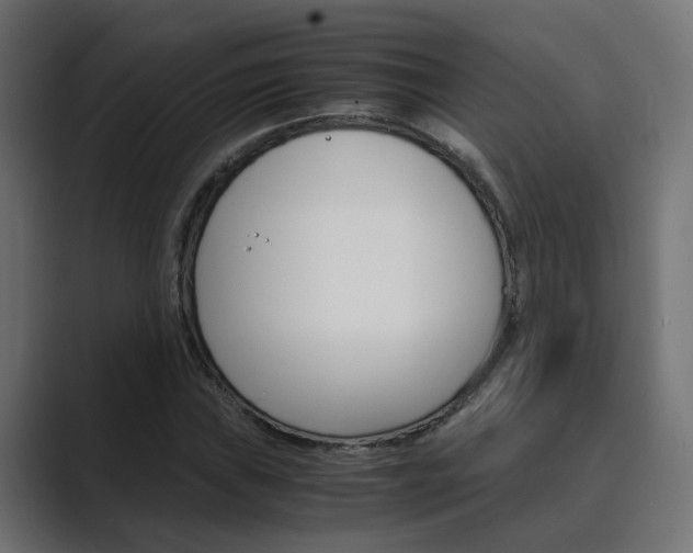 X0000089971019200706291100