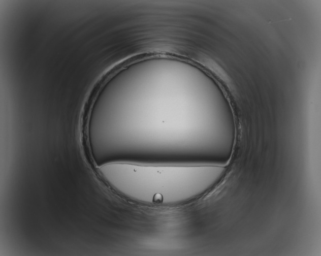 X0000089971020200706291100