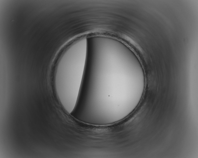 X0000089971021200706291100