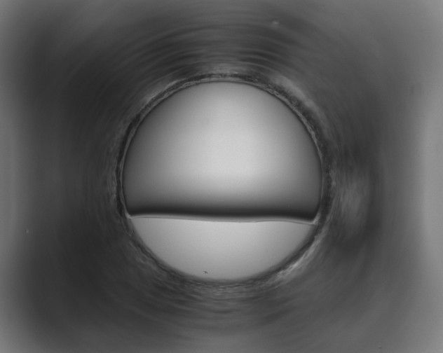 X0000089971025200706291100