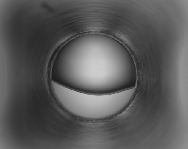 X0000089971026200706291100