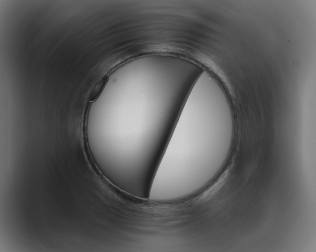 X0000089971033200706291101
