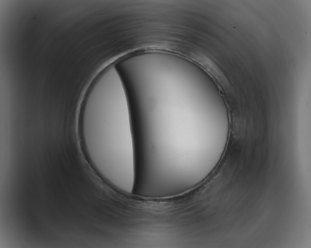 X0000089971036200706291101