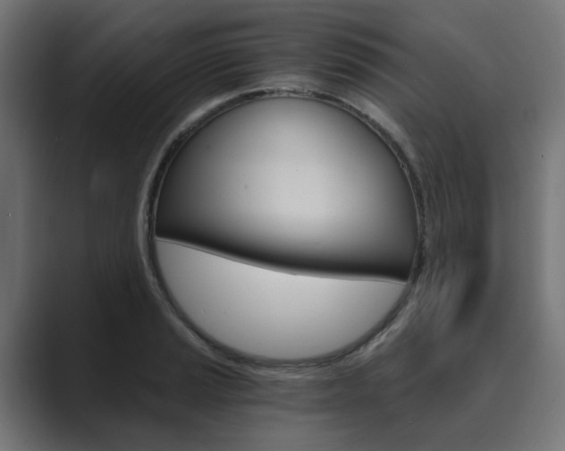 X0000089971037200706291101