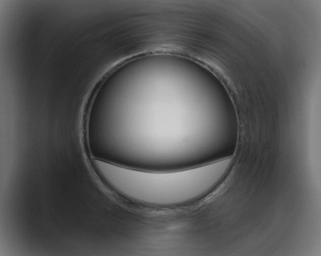 X0000089971038200706291101