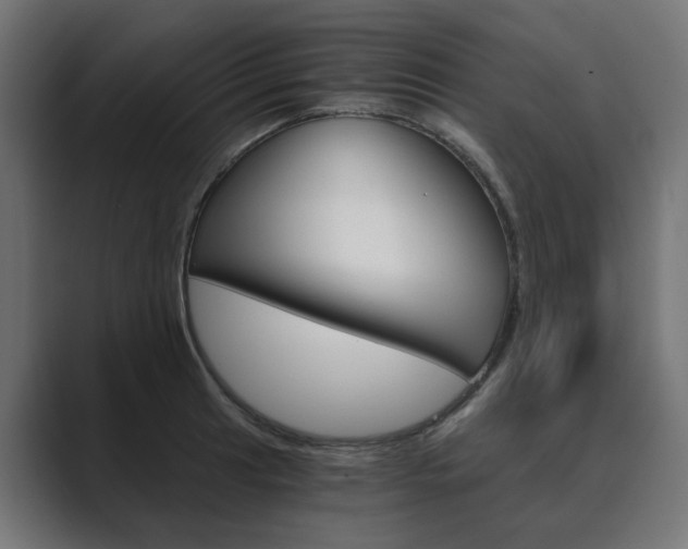X0000089971041200706291101