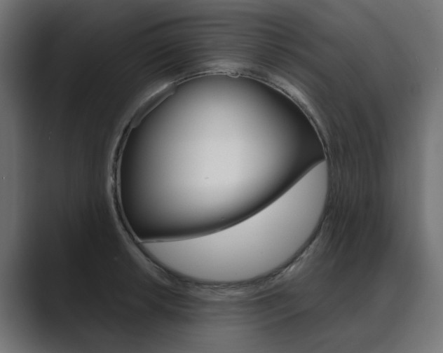 X0000089971042200706291101