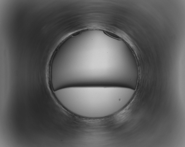 X0000089971048200706291101