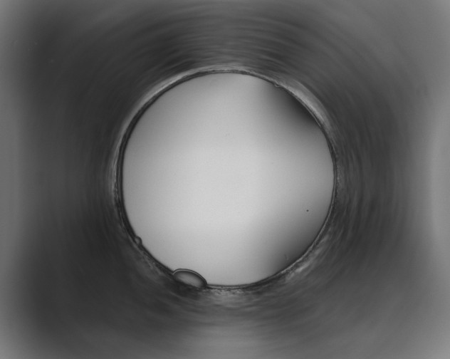 X0000089971052200706291101
