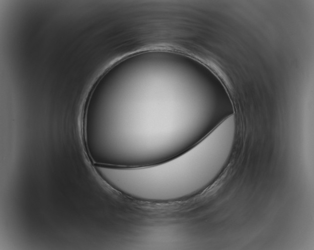 X0000089971054200706291101