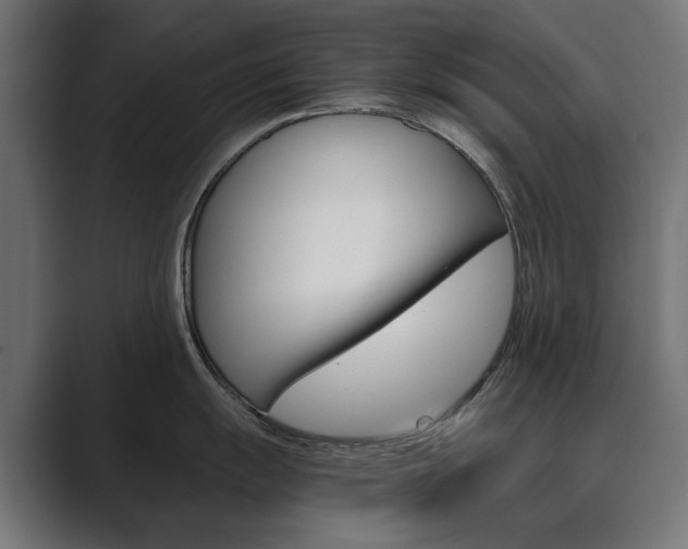 X0000089971055200706291101