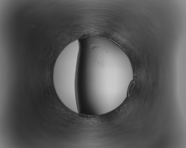 X0000089971058200706291100