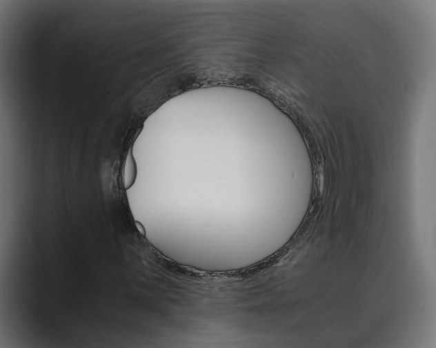 X0000089971059200706291100