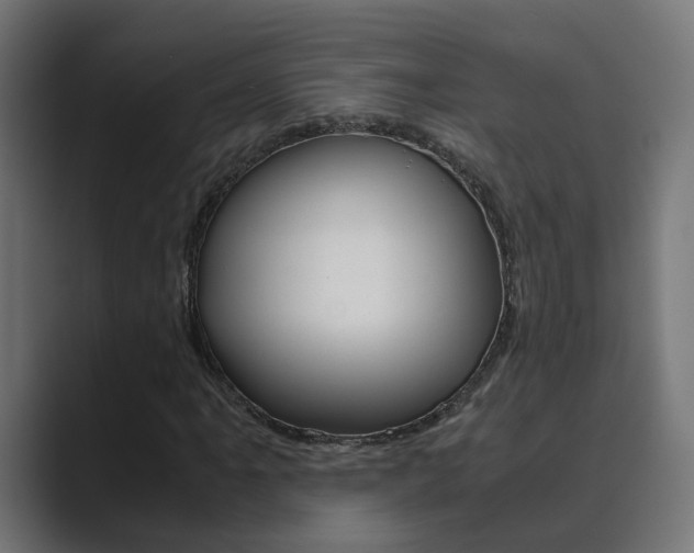 X0000089971061200706291100