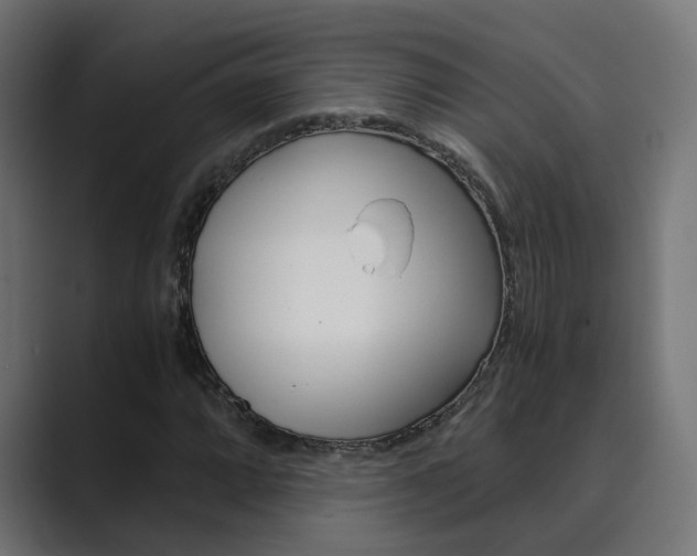 X0000089971064200706291100