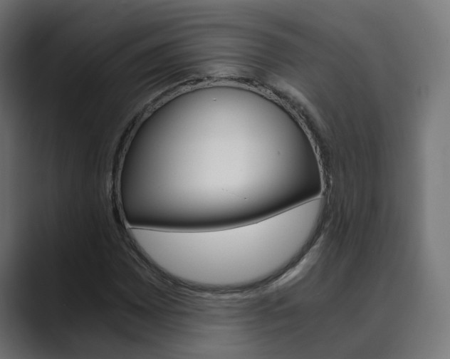 X0000089971065200706291100